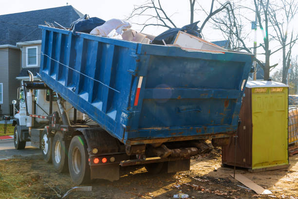Debris Removal in Pine Island Center, FL